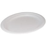 Large Oval Biodegradable Plate