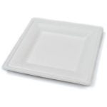 Biodegradable Square Bagasse Plates 26cm